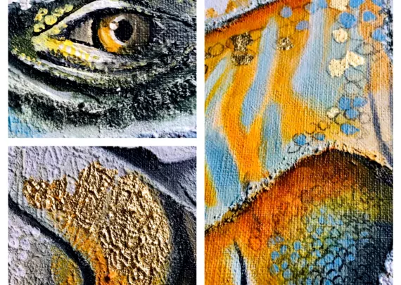 Iguana 1 - détails