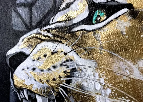 Lioness 1 details