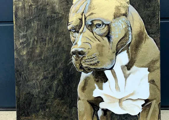 Golden bully