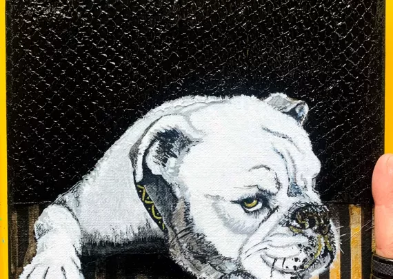 Bulldog 1