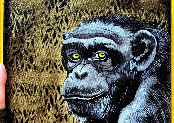 Chimp 1