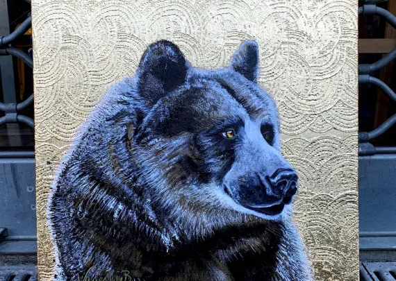 'Bear 1'