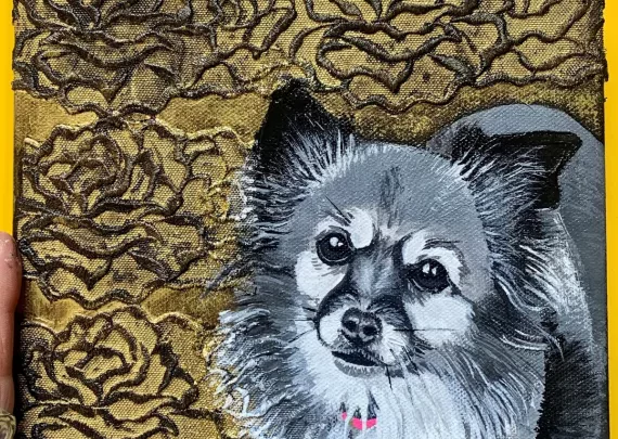 Iris