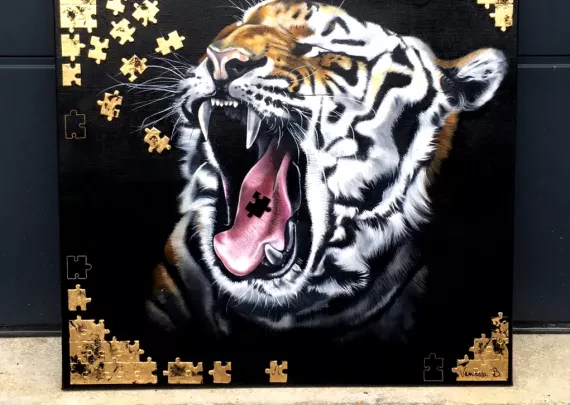 TigR2